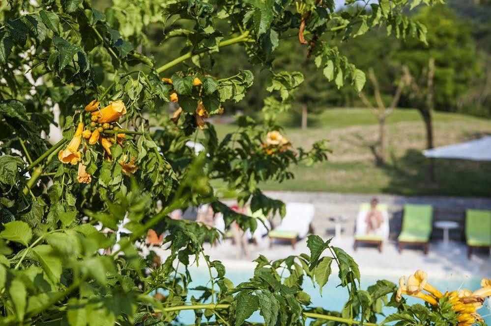 Hotel Villaguarda Prosecco Area Follina Екстериор снимка