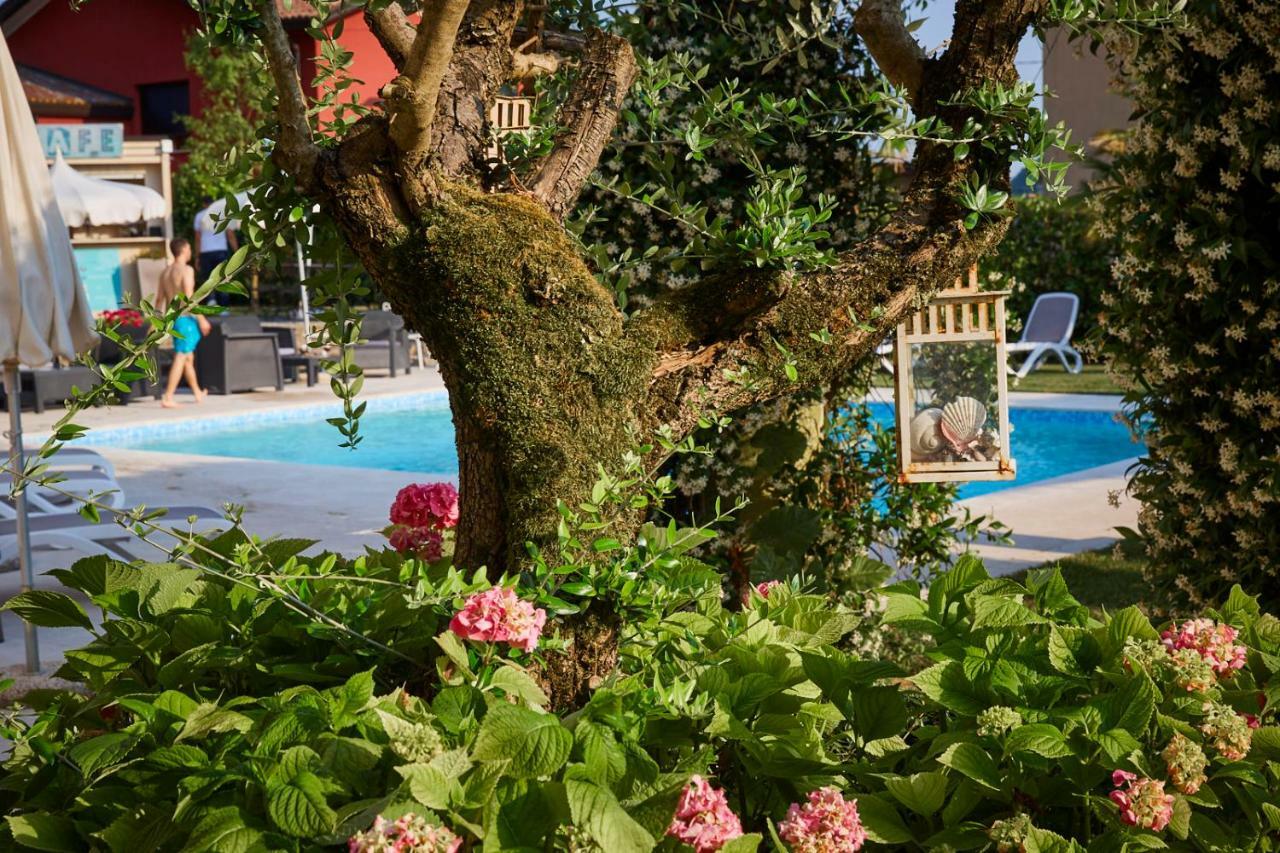 Hotel Villaguarda Prosecco Area Follina Екстериор снимка